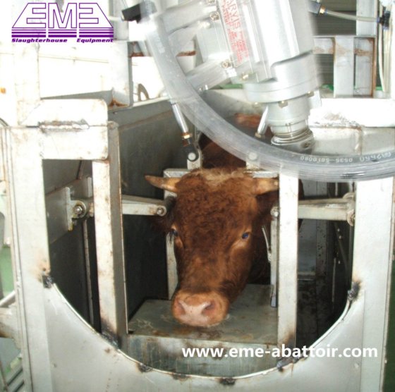 奶牛屠宰场设备 绞肉箱 旋转式绞肉箱 绞肉机 牛屠宰场