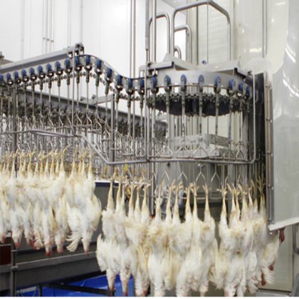 家禽 鶏 鴨 食肉処理場 処理機器