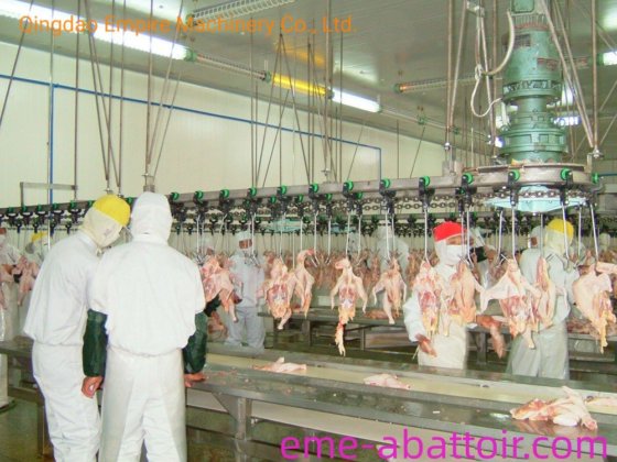 エメ鶏肉処理用屠殺設備、中国製の鶏肉加工屠殺場設備