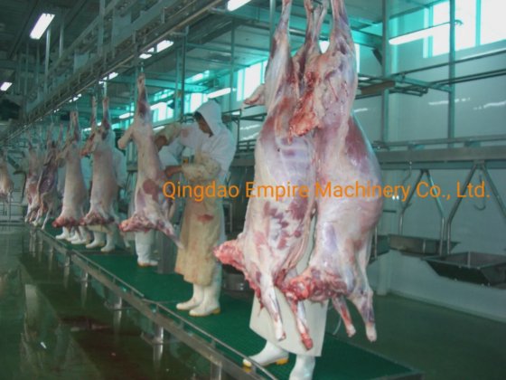 内臓検査コンベヤー 食肉処理設備 自動生産ライン用