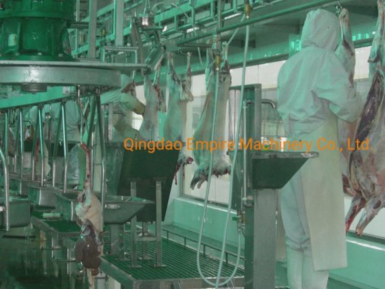 内臓検査コンベヤー 食肉処理設備 自動生産ライン用