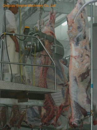 家畜の胴体を分割するための屠殺ライン用の設備