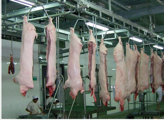 垂直豚肉解体自動搬送レール屠殺設備