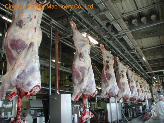 アクティブデマンド牛屠殺機皮ベルトコンベヤー機械屠殺場設備