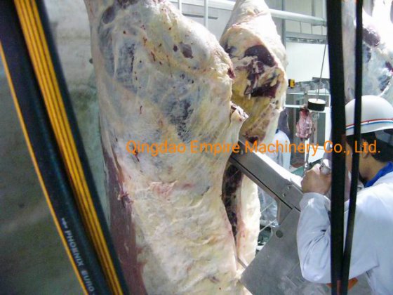 新型牛胸骨切断用の食肉処理ライン用設備