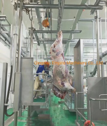 新型牛胸骨切断用の食肉処理ライン用設備