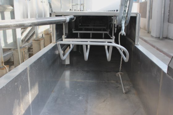 猪胴体电动烫毛槽 猪屠宰场设备