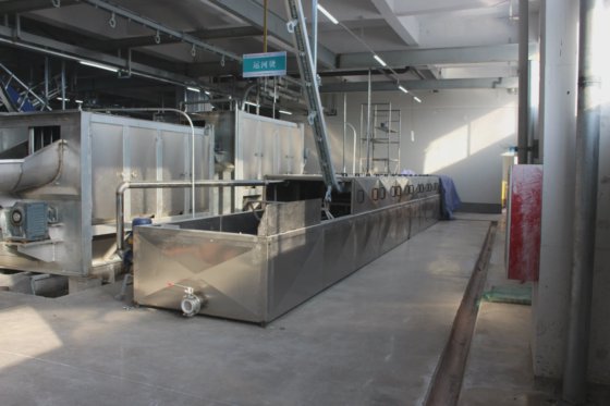 猪胴体电动烫毛槽 猪屠宰场设备