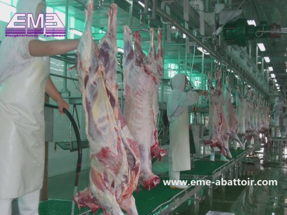 羊 牛 食肉処理場 機械 自動出血