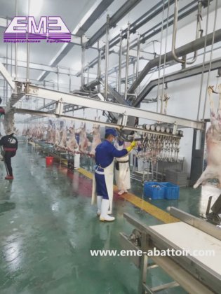 羊 牛 食肉処理場 機械 自動出血