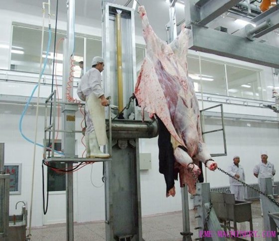 用于屠宰场设备的绵羊/山羊垂直拉皮机
