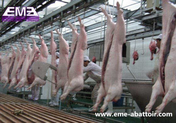自動化設計 豚の出血 自動チェーンコンベヤー レールアクセサリー 食肉処理設備