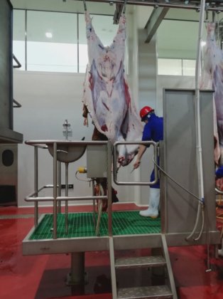 用于清真大中型屠宰场的屠宰加工流水线设备屠宰场牛/羊猪机械