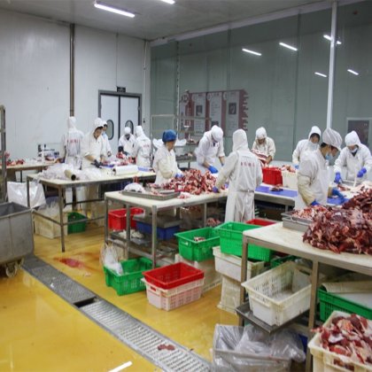 用于清真大中型屠宰场的屠宰加工流水线设备屠宰场牛/羊猪机械