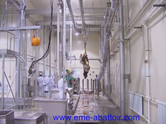 典型的省力机器 牛体清洗机 牲畜屠宰场