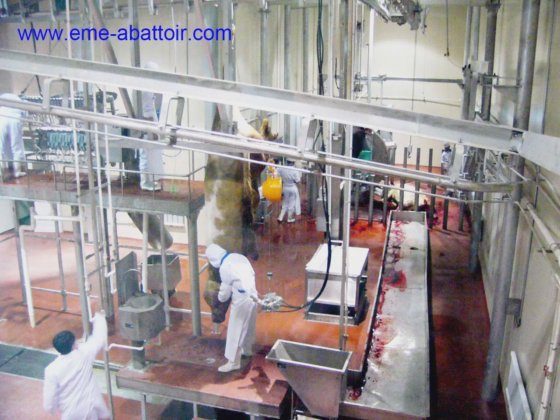 典型的省力机器 牛体清洗机 牲畜屠宰场