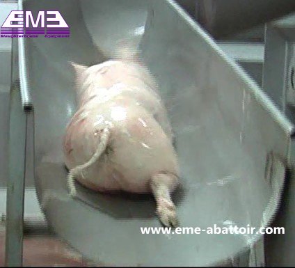 牲畜屠宰场设备 猪滑槽式猪肉屠宰机