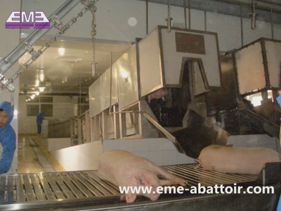 用于猪屠宰场的卧式胴体毛发修剪自动输送机屠宰设备