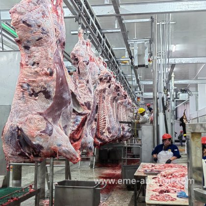 农业机械 屠宰场设备 牛屠宰设备的牛胴体处理提升机用于牛肉厂