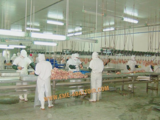 鶏肉処理機器 鶏舎移送システム 食肉処理場設備