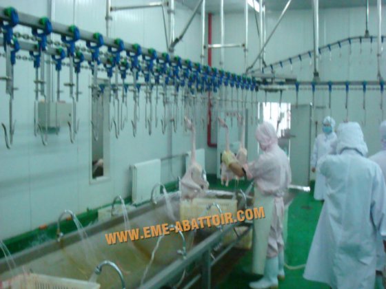 鶏肉処理機器 鶏舎移送システム 食肉処理場設備