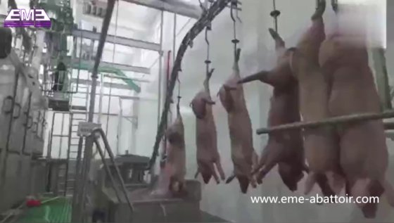豚の屠殺機械用豚肉処理設備のための豚の胴体機械的荷卸し装置