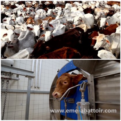 牛羊猪屠宰场设备 肉类屠宰设备 装载臂