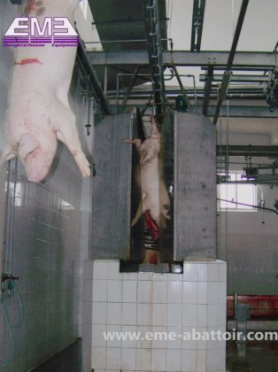 豚屠殺用半身自動洗浄屠殺機
