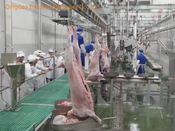 ステンレス鋼380V搬送機械羊屠殺場設備