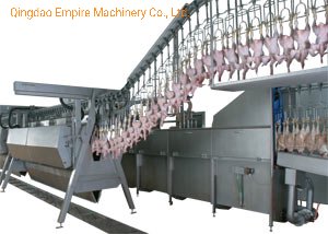 基本定制质量全自动 500 只家禽肉鸡屠宰屠宰场设备