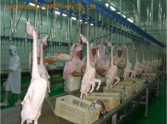 基本的なカスタマイズ品質自動500poultryブロイラー鶏屠殺場設備