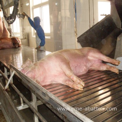 猪肉屠宰场 猪屠宰 猪脱毛机 猪屠宰机械