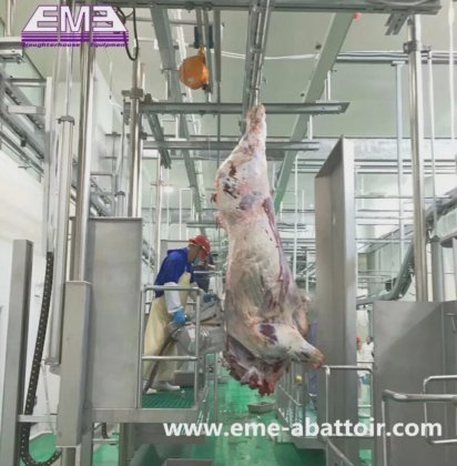 专业移动式集装箱屠宰场 牛屠宰场设计设备 屠宰机