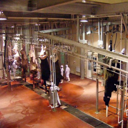 专业移动式集装箱屠宰场 牛屠宰场设计设备 屠宰机