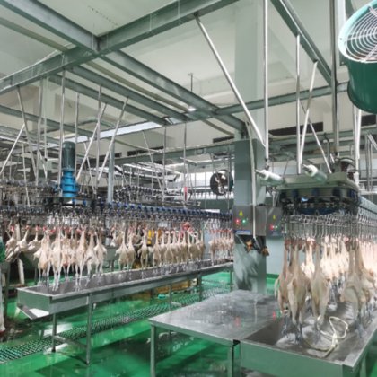 広く使用されている自動アヒルガチョウ細かい羽抜き鶏羽抜き機