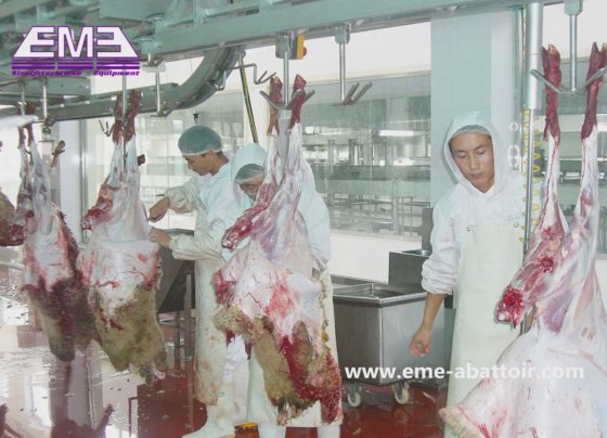 手動羊やヤギの屠殺機械 スラッターハウス用設備