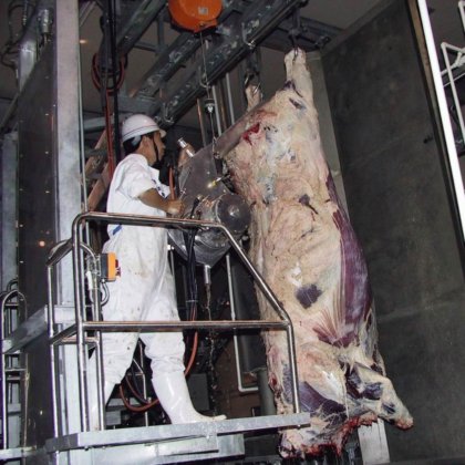 用于屠宰场的牛屠宰场设备牛、猪半胴体分割锯（德国）