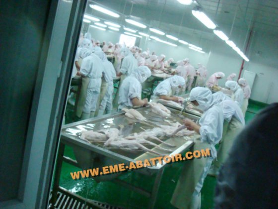 热生活家禽笼滑道 鸡肉加工家禽屠宰场机械