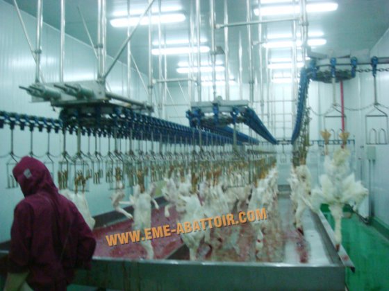 热生活家禽笼滑道 鸡肉加工家禽屠宰场机械