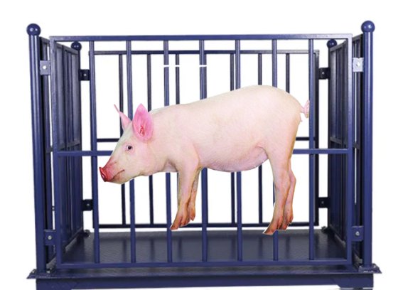 家畜機器 肉処理 食肉処理場機械 生きた豚の体重計 食肉処理場用の屠殺機