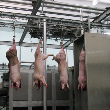 家畜機器 肉処理 食肉処理場機械 生きた豚の体重計 食肉処理場用の屠殺機