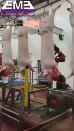 好猪分割机屠宰机械用于猪屠宰场屠宰场设备