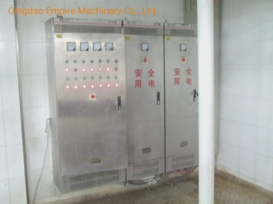 Central Electrical Control System Pig