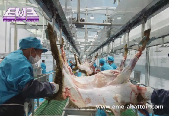 山羊屠宰机 自动屠宰线 屠宰场设备 屠宰场绵羊山羊胴体清洗装置