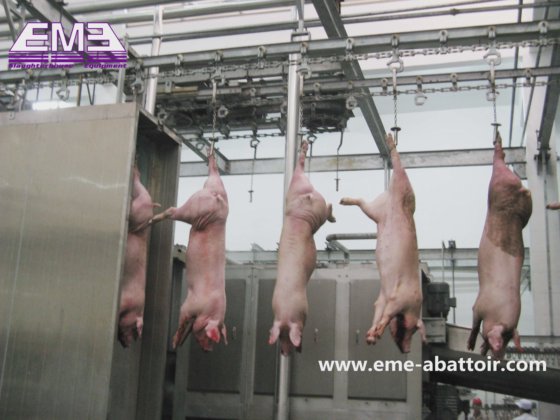 猪胴体蒸汽烫毛通道系统 屠宰机 屠宰场设备