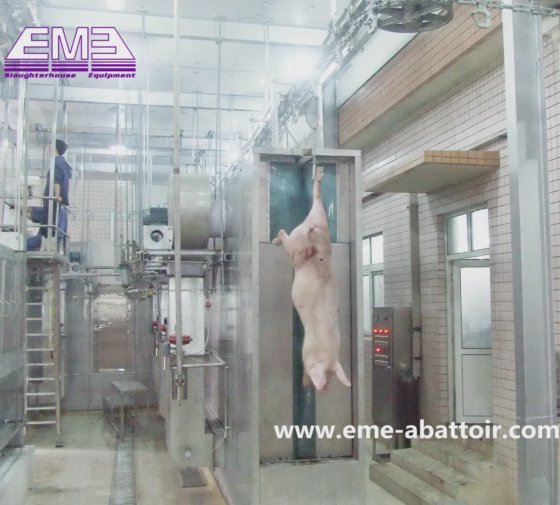猪胴体蒸汽烫毛通道系统 屠宰机 屠宰场设备