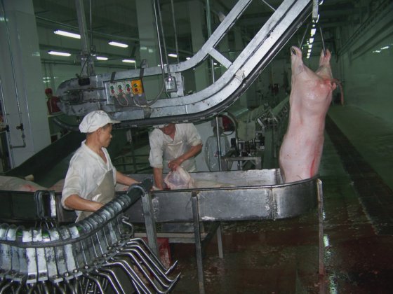 ヤギの屠殺機の価格、羊とヤギの出血傾斜リフティング機、経済性と耐久性