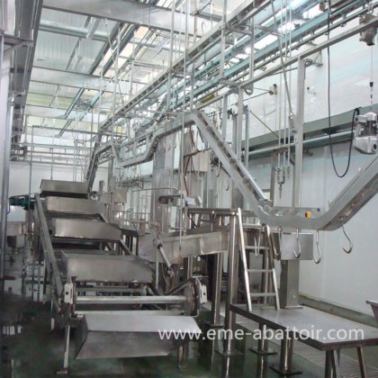 操作简单的活牛牵引机 用于奶牛屠宰场的奶牛屠宰场