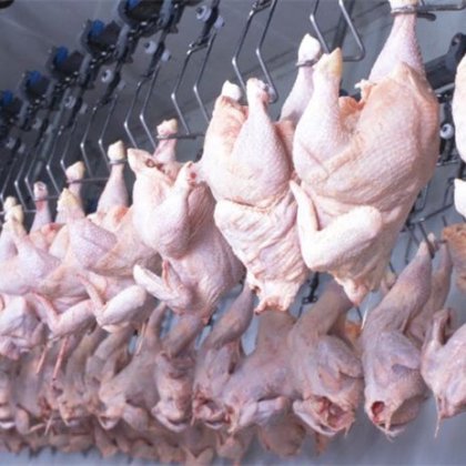 家禽設備 殺処理機 500poultry 毎日の slaughterhouse