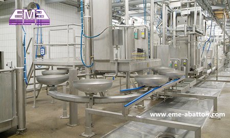 自動地面型内臓検査コンベヤー食肉処理設備販売